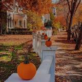 Spotify Playlist: Fall Season, Best Season