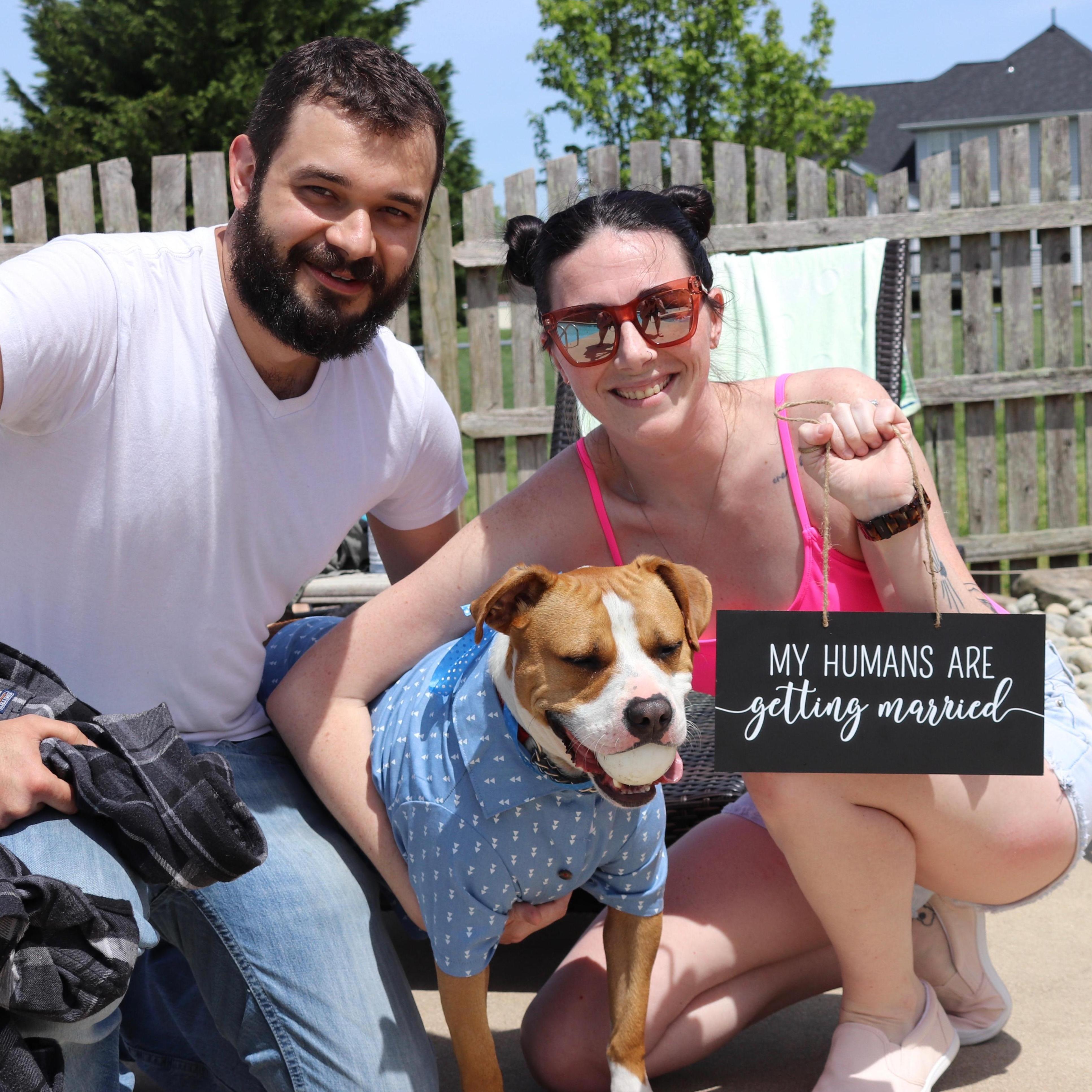 Bogart's announcement