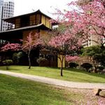 Praça do Japão