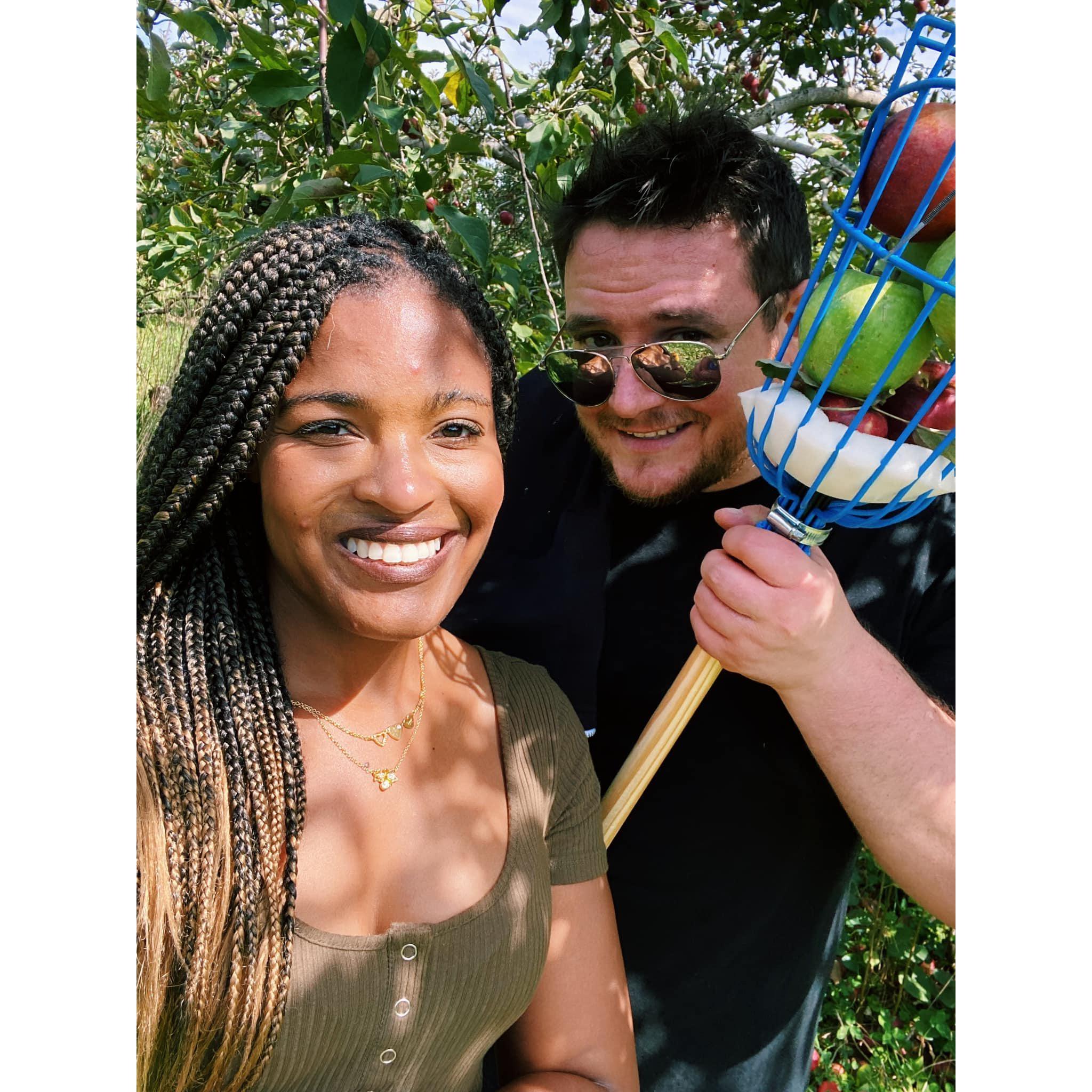 Apple picking