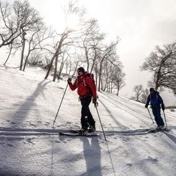 Guided Backcountry Touring
