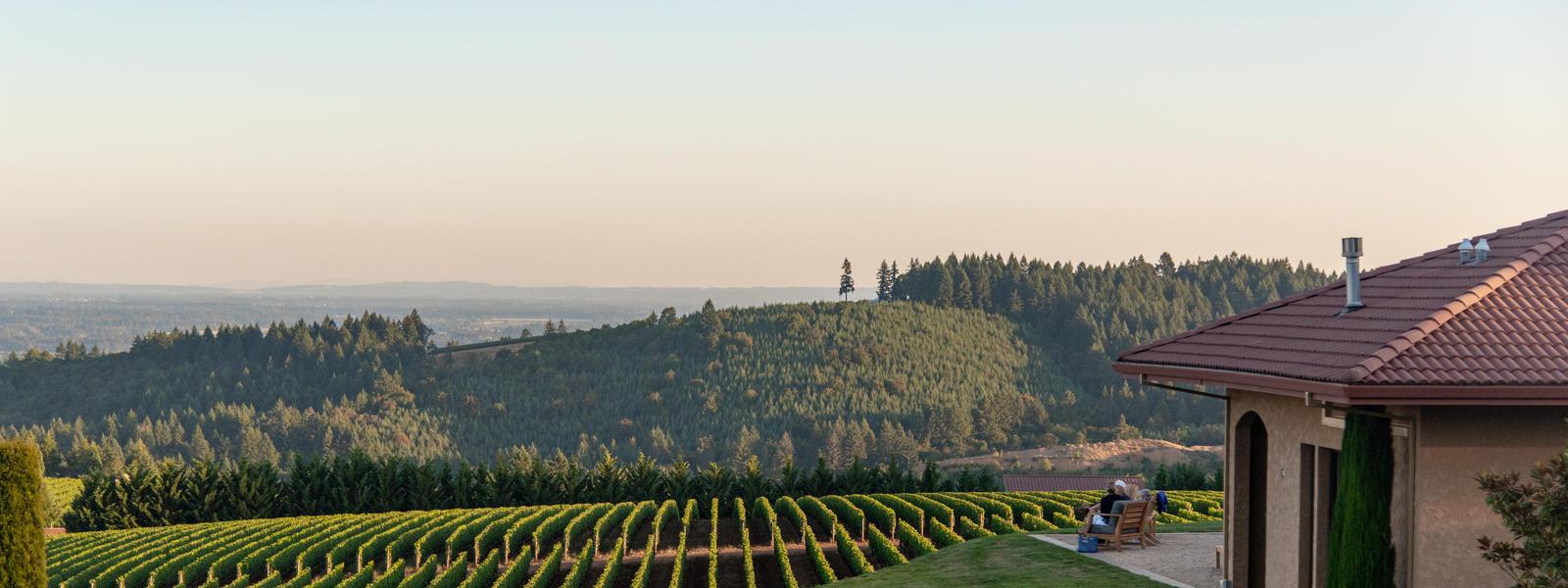 The Wedding Website of Annie McLeod and Brian Hassing