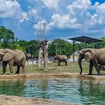 Milwaukee County Zoo