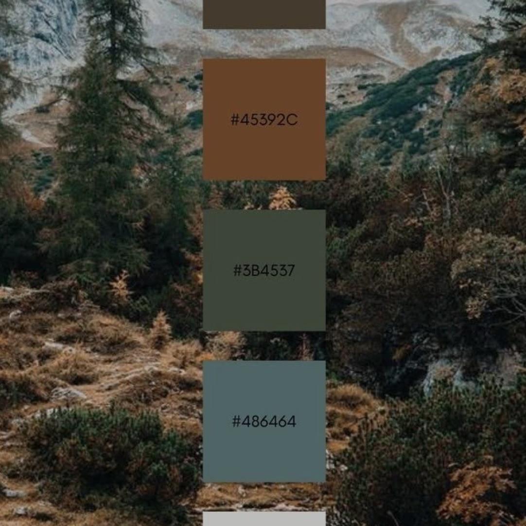 Our color palette