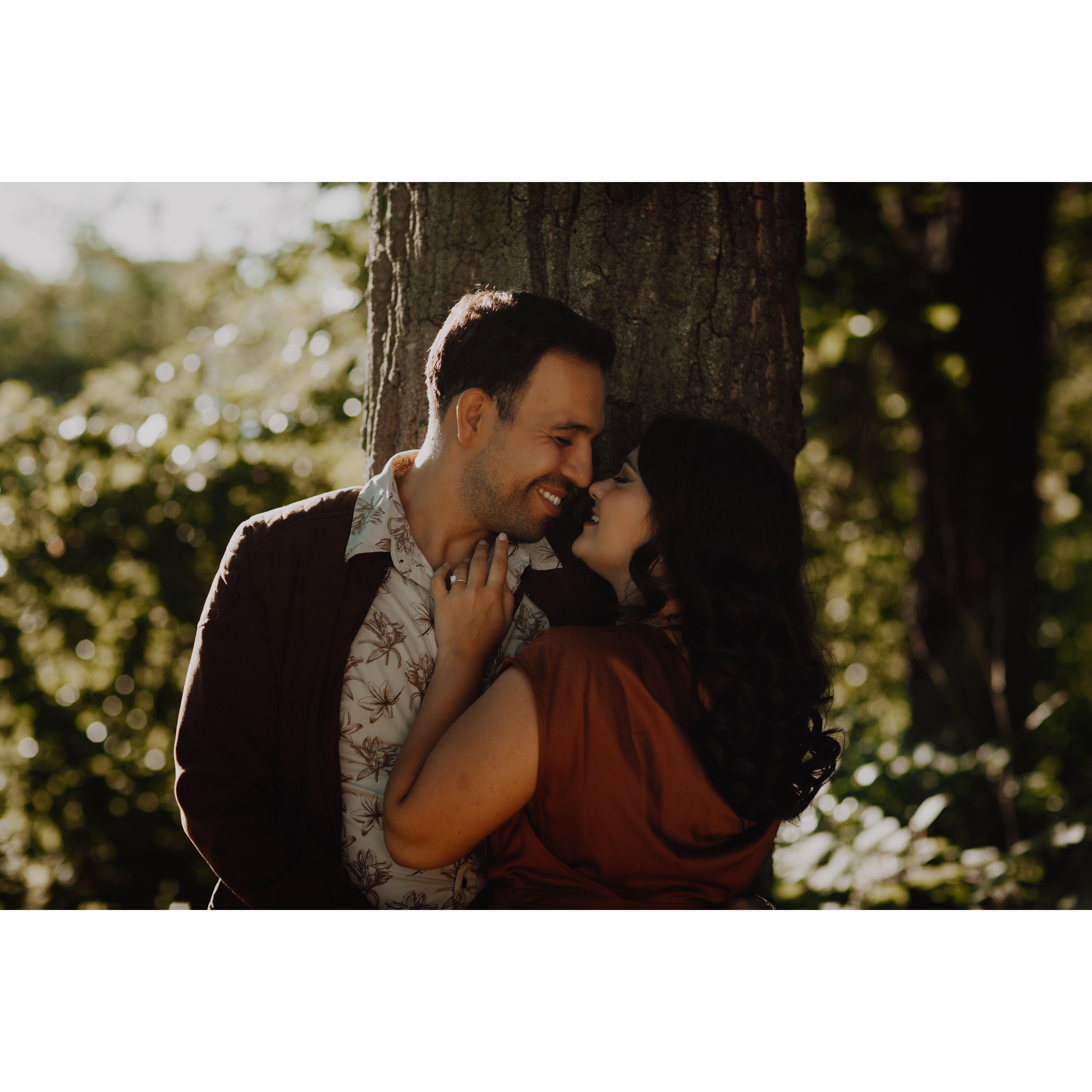 Whispering Whimsy
