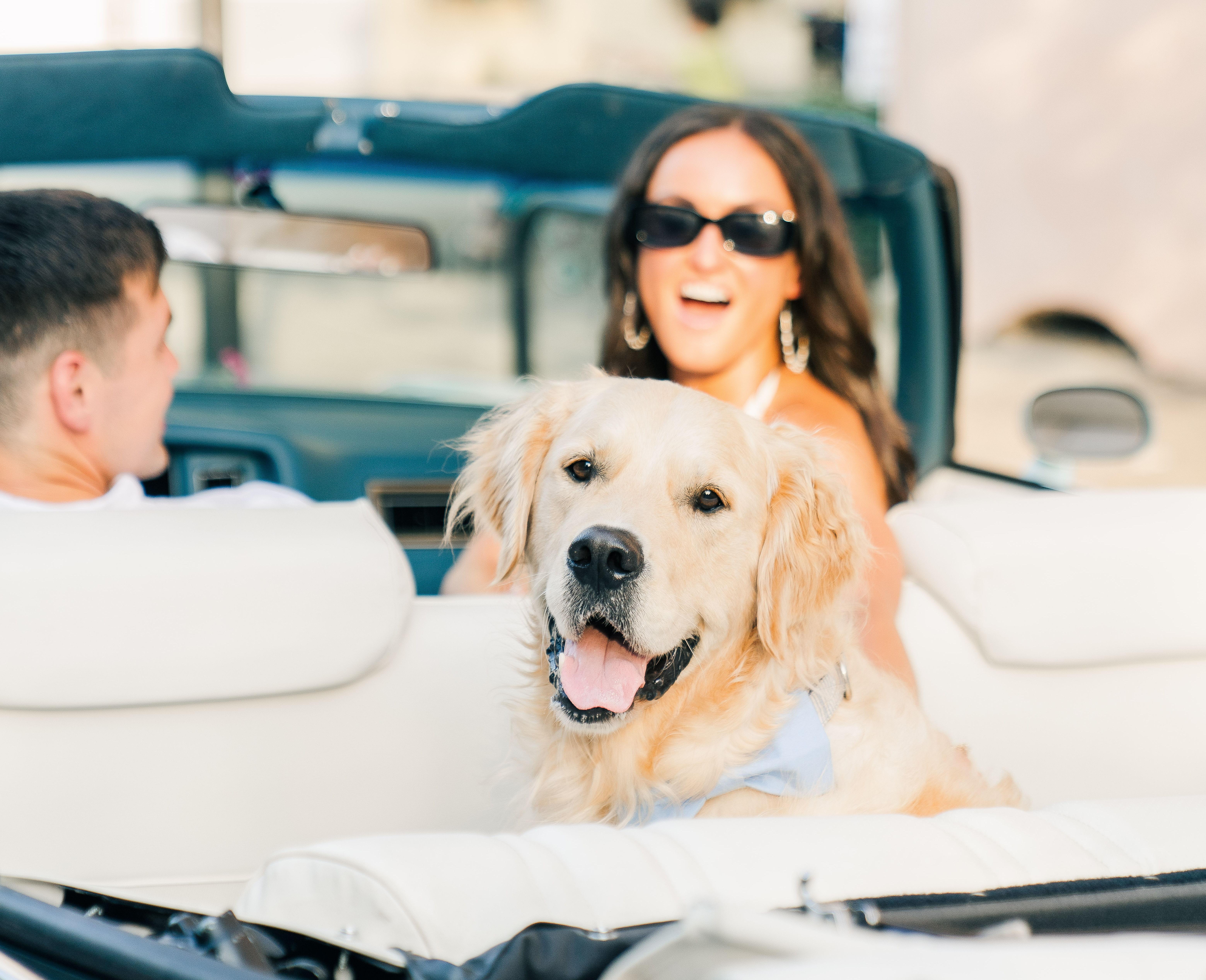 The Wedding Website of Meghan Allen and Brad Dressler