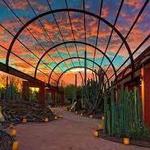 Desert Botanical Garden