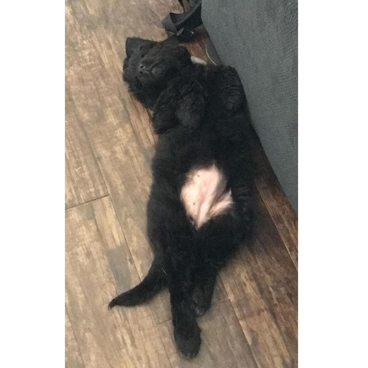 Chillaxin' at home as a baby.