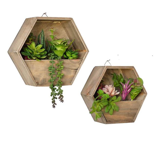 DICAHOME Wood Wall Mounted Decorative Artificial Succulents Planter Arrangement, Mounted herb Garden, Distinctive Designs Floral Arrangements for Dining Room Wall décor (Type A)