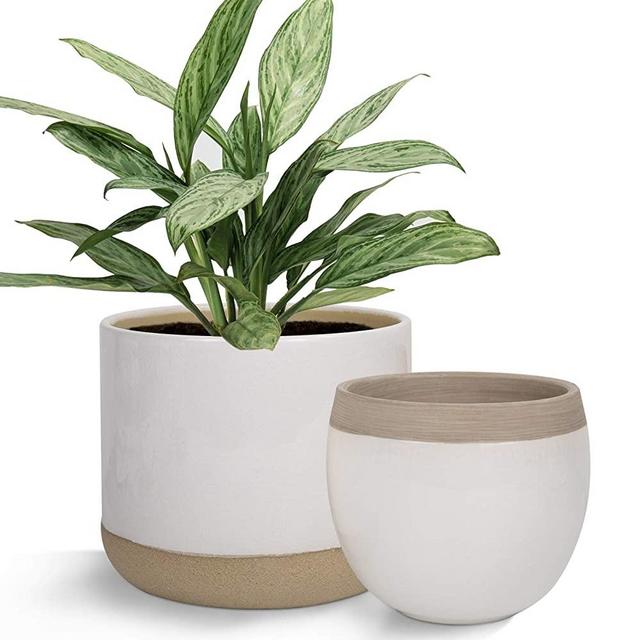 White Ceramic Flower Plant Pots - 6.5 Inch Pack 2 Indoor Planters, Plant Containers with Beige and Cracked Detailing