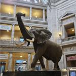 Smithsonian National Museum of Natural History