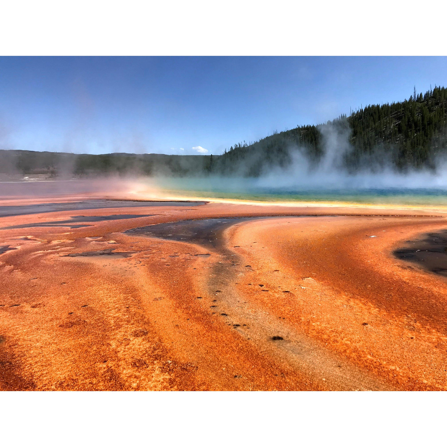 One of our first trips as a family to visit Idaho and Yellowstone.