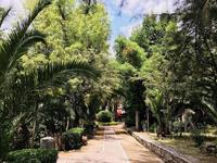 Parque Juarez / Juarez Park