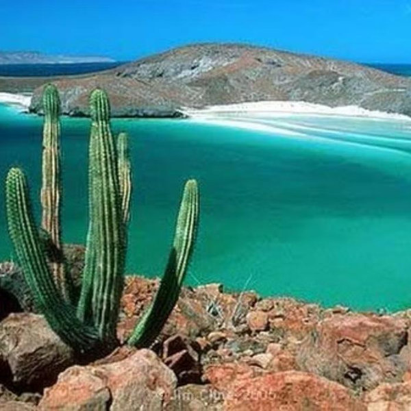 Round Trip Plane Tickets to La Paz, Baja California