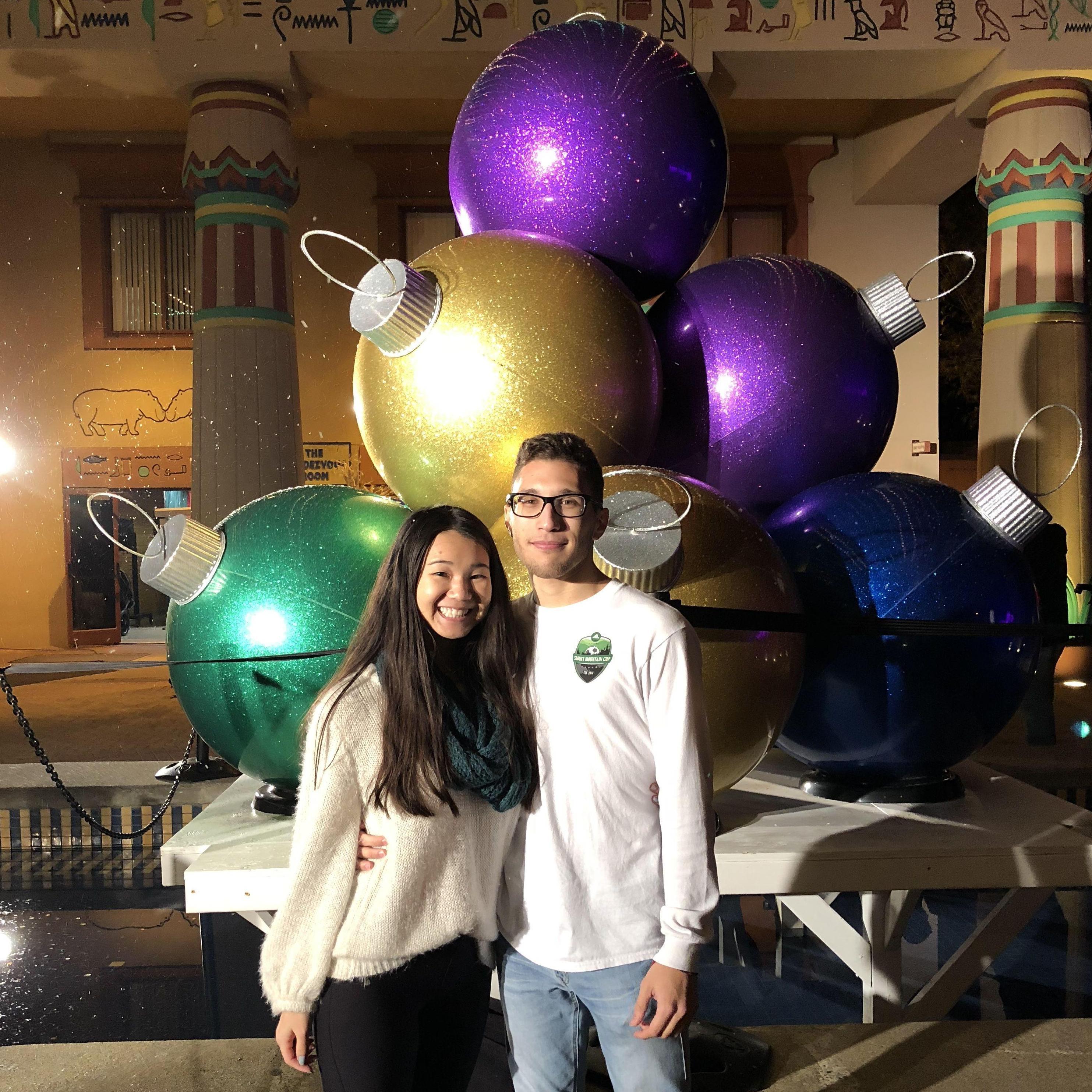 Memphis Zoo Lights 2017