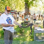 Rattlesnake Roundup