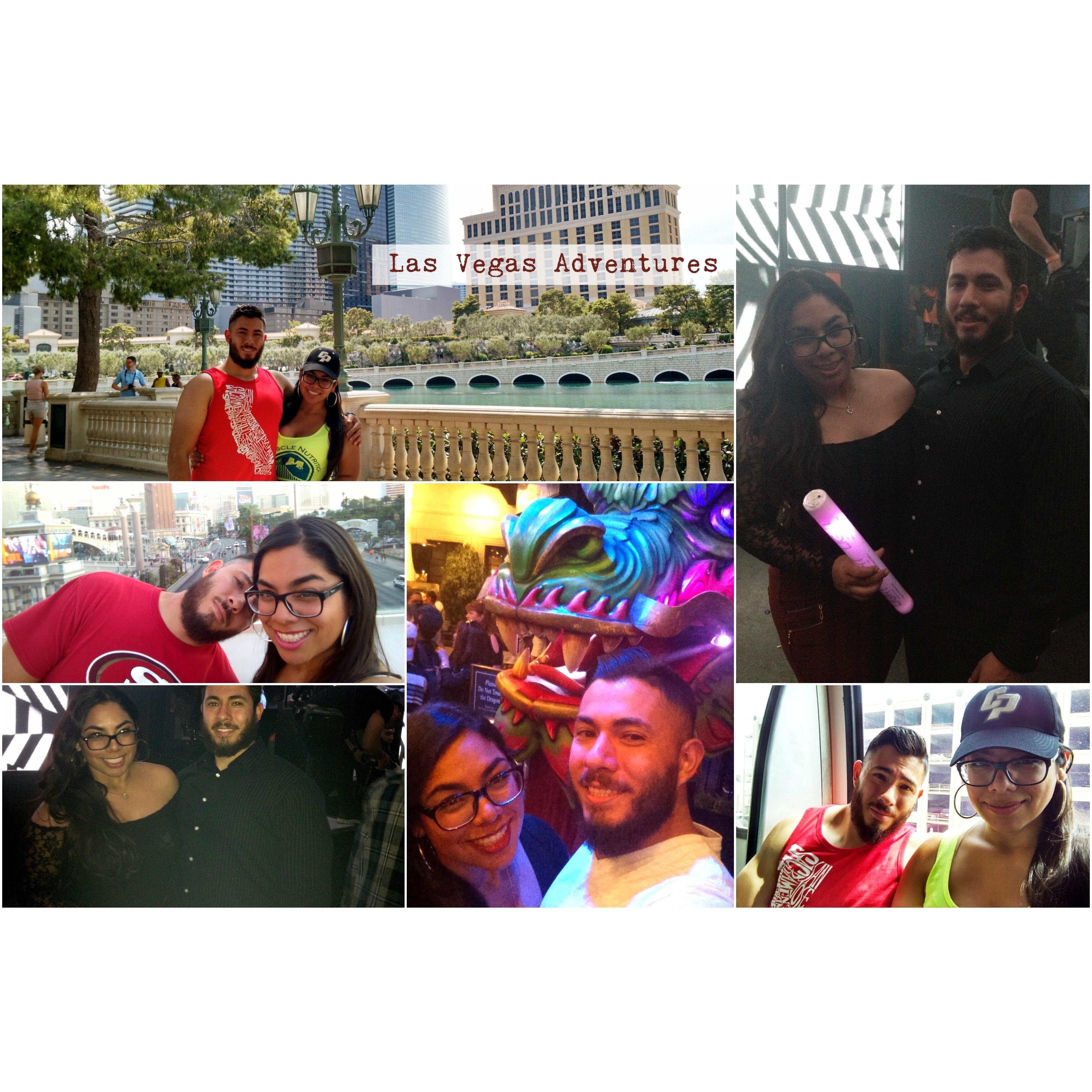 Las Vegas Trips; Cirque de Soleil shows, sight seeing on the strip, light night club fun.
