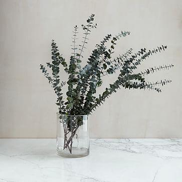 Eucalyptus Bundle - Baby