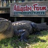 St. Augustine Alligator Farm Zoological Park