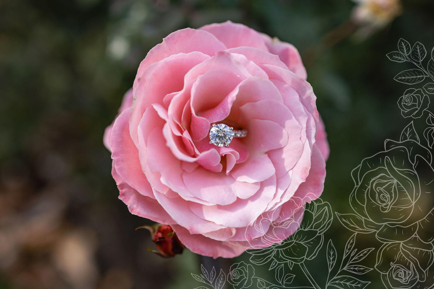 The Wedding Website of Laura St. Jour and Dontez Mack