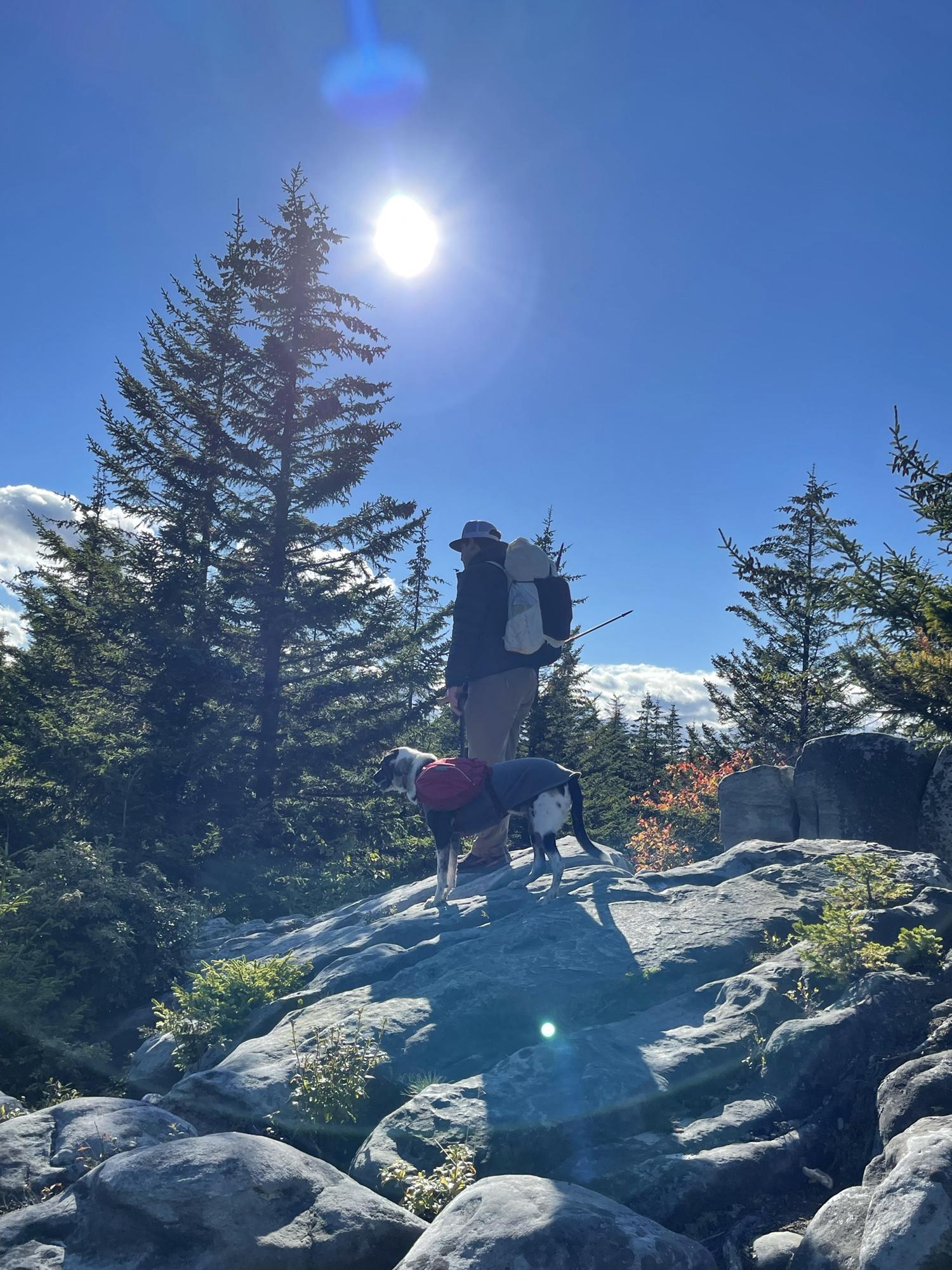 Dolly Sods Wilderness, WV