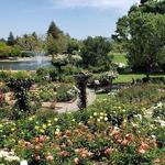 The Gardens at Heather Farm