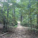 Hollow Trail & Fire Trail Loop