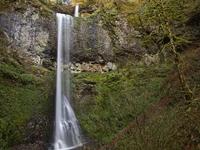 Hiking at Silver Falls State Park