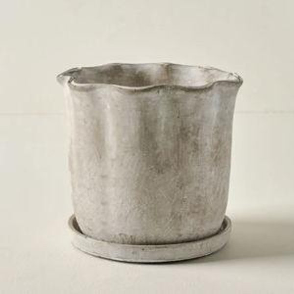 Alice Scalloped Cement Planter