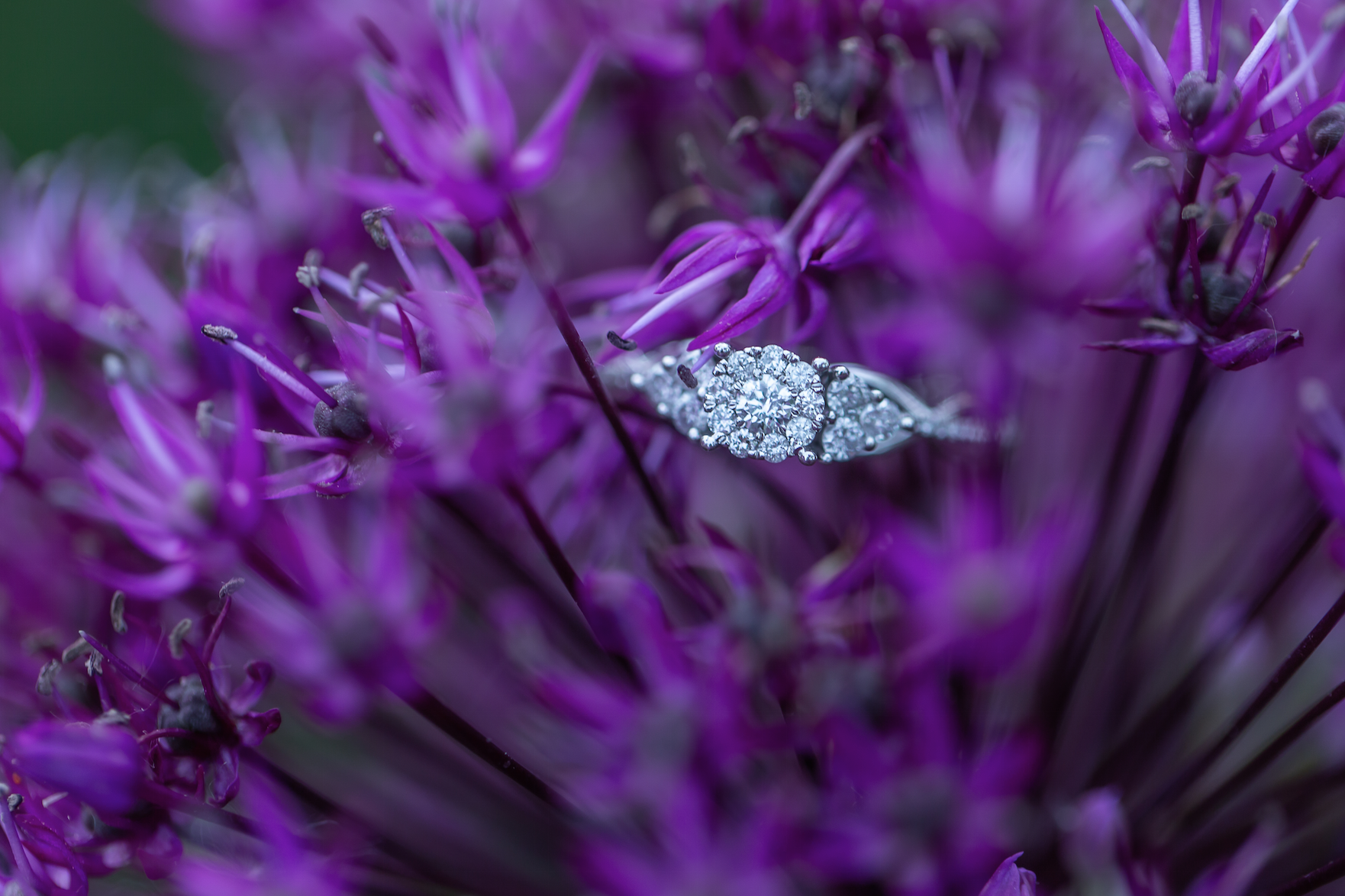 The Wedding Website of Mikayla Elizabeth Paulson and Jacob Timothy Richardson