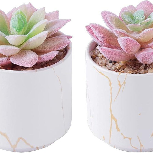 zenmag Succulents Plants Artificial, Mini Fake Succulents in White Ceramic Pots for Desk Livingroom Bathroom and Home Decoration Office Decor for Women Set of 2 Artificial Succulents