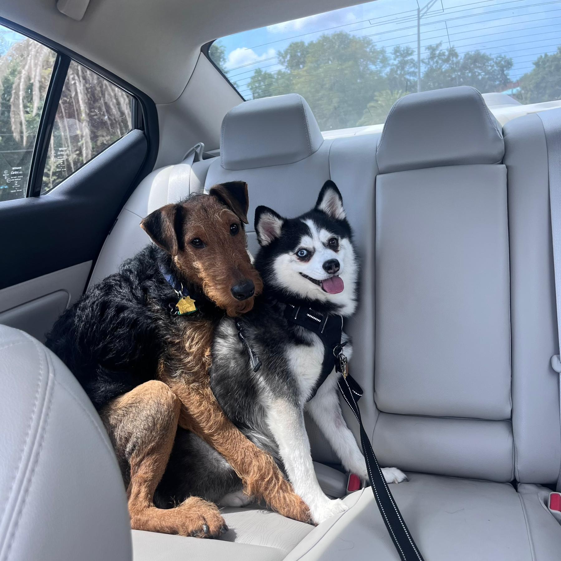 First pic of both our fur babies ❤️