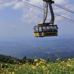 Cannon Mountain Aerial Tramway