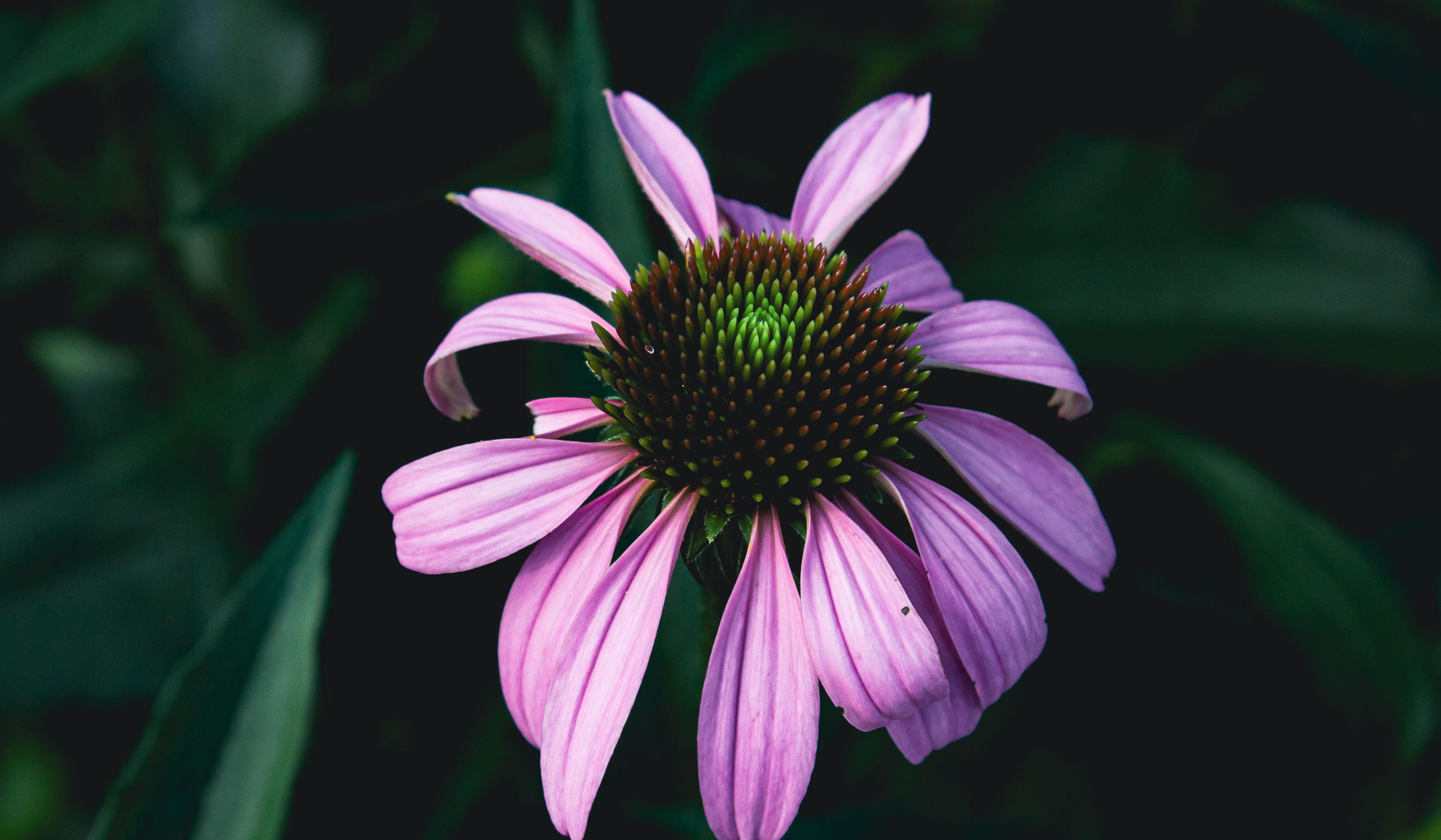 Footer image