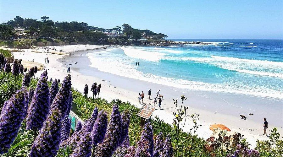 The Wedding Website of Kyra Kennedy and Eric Kros