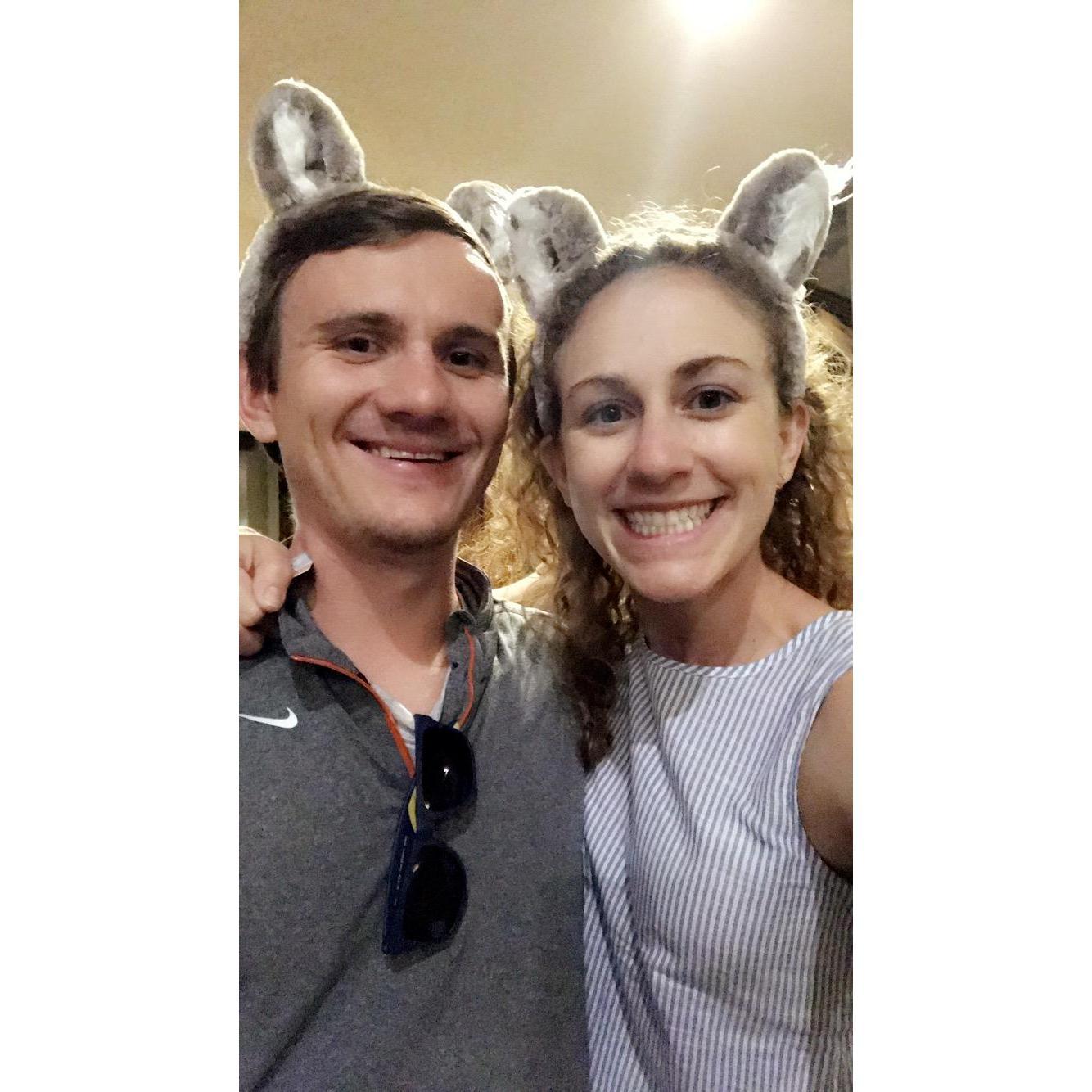Welcome to the Great Wolf Lodge!
