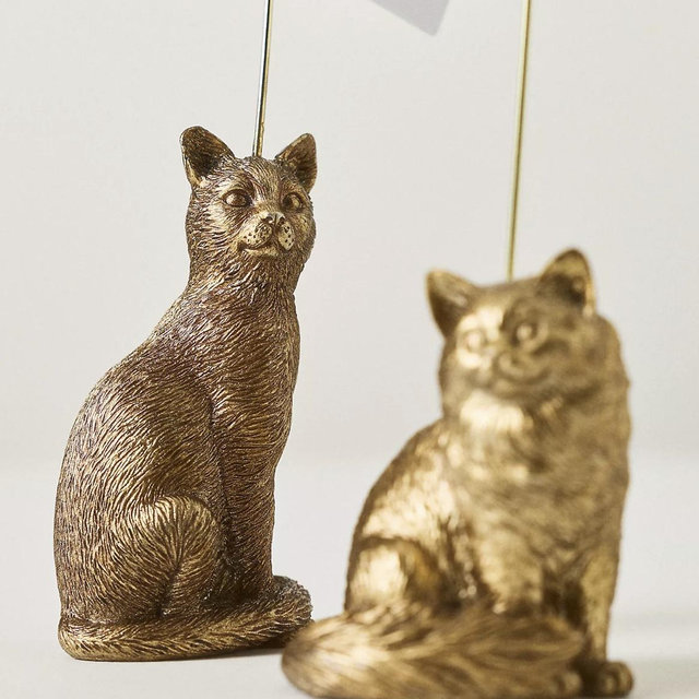 - Domestic Shorthair/Tabby