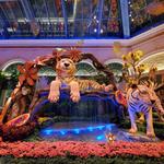 Bellagio Conservatory & Botanical Gardens