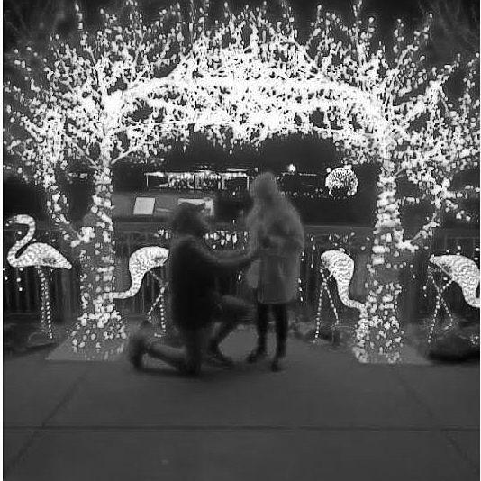 My favorite moment. Every year for Bryons birthday we go to the St. Louis Zoo lights, right before Chrismas. It was so sweet and everything I could've dreamed of,