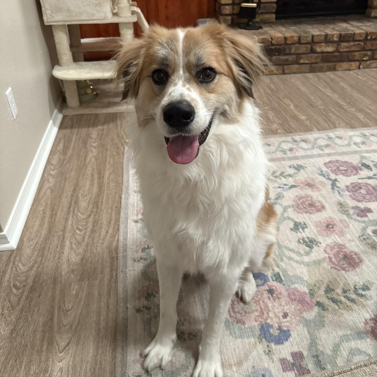 Benny