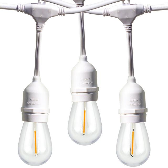 Wayfair Basics 48' Outdoor 15 - Bulb Standard String Light