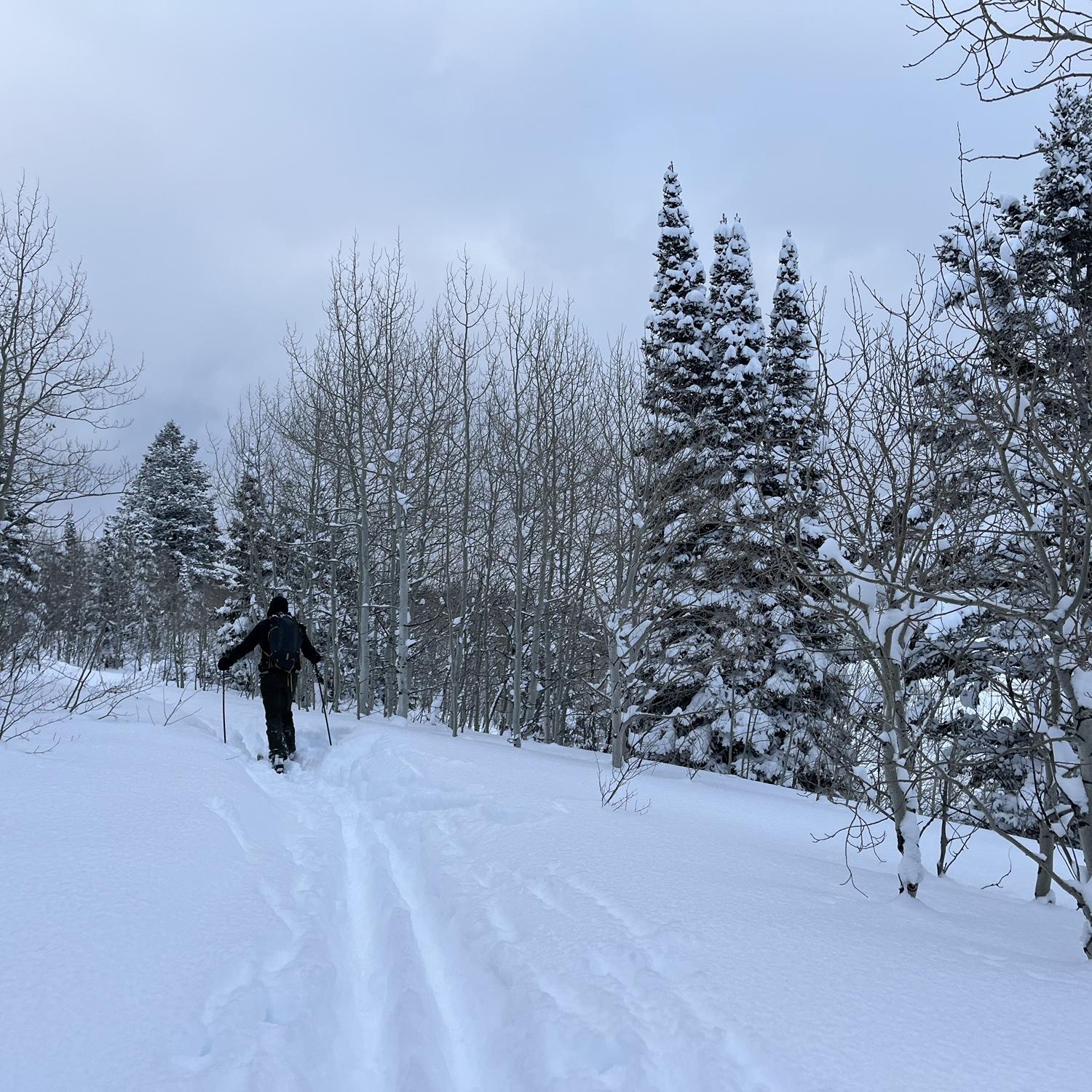 One of our favorite places to ski.