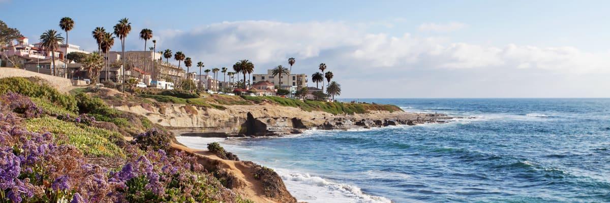 The Wedding Website of Sara Honea and Danae Villicana