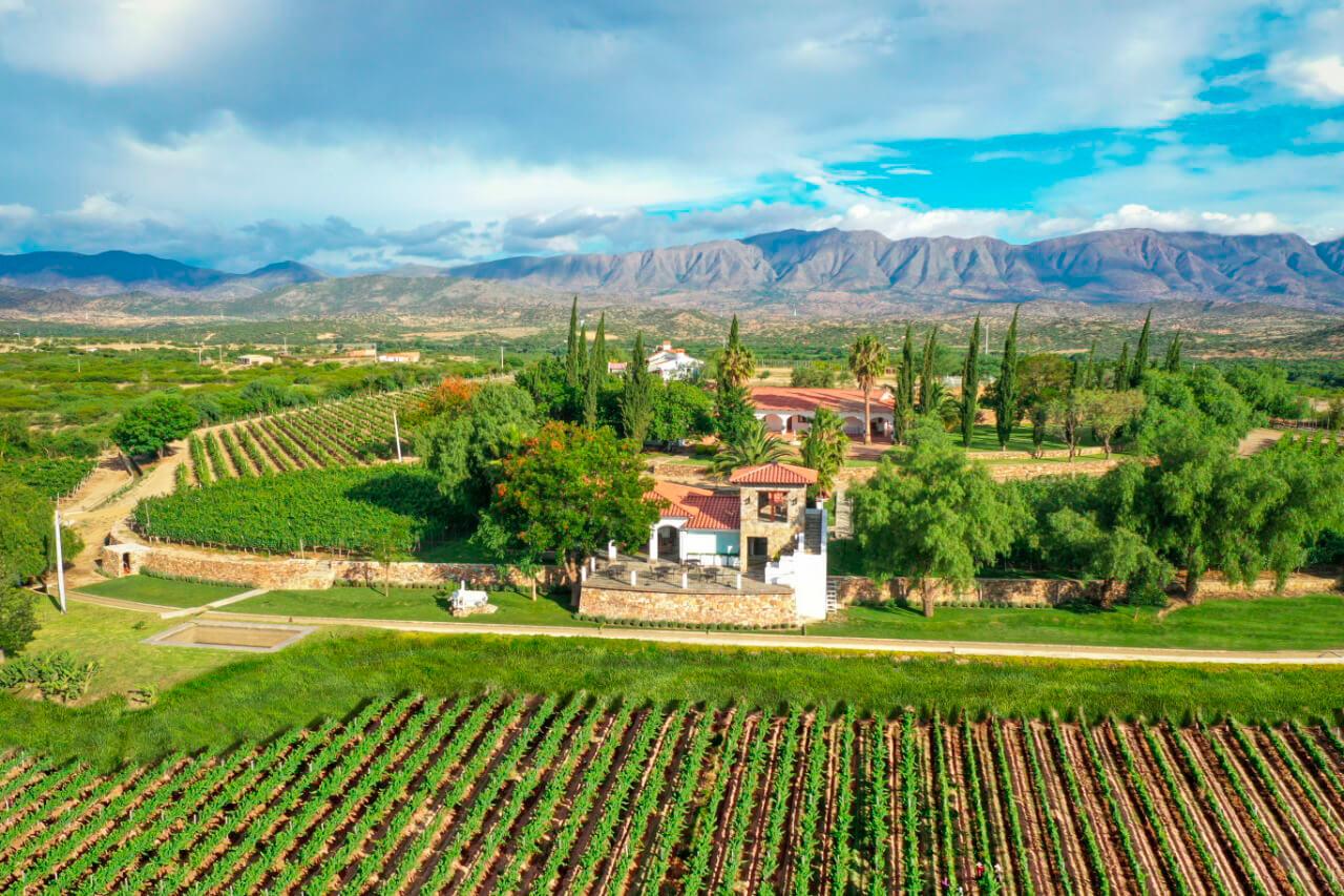 The Wedding Website of Shaina Eid and David Vaca Diez