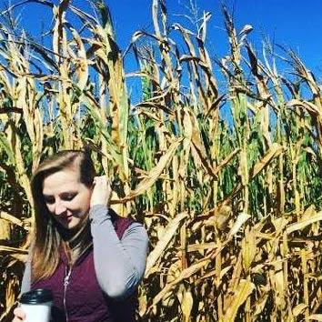 "It's the most wonderful time of the year" (in the Autumn). It's not truly Autumn until we have made it to a Corn Maze