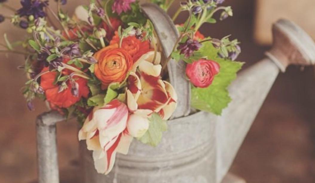 The Wedding Website of Cassi Stein and Trey Mueller