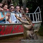Cajun Pride Swamp Tours