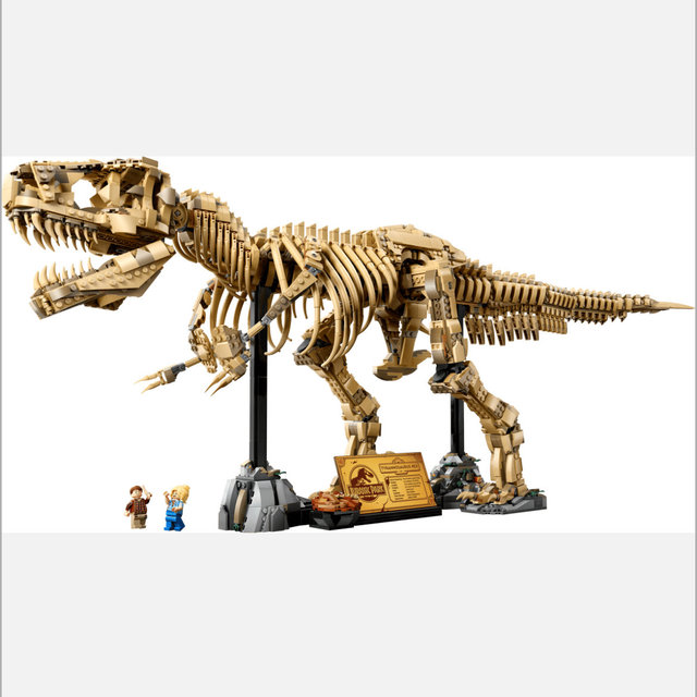 Dinosaur Fossils: Tyrannosaurus rex