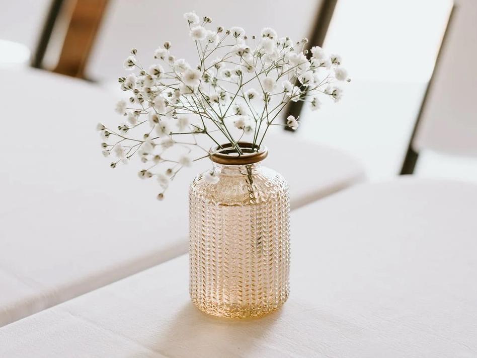 The Wedding Website of Bailey Hebert and Donald Mclean