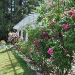 Yaddo Gardens